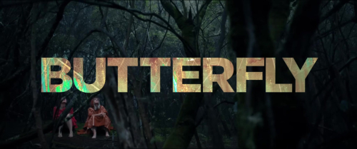 Butterfly_526.jpg