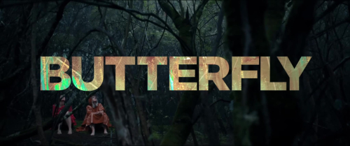 Butterfly_528.jpg