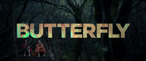Butterfly_529.jpg