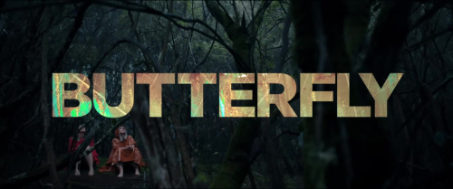 Butterfly_532.jpg