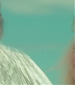 Butterfly_485.jpg