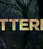 Butterfly_527.jpg