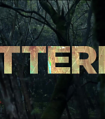 Butterfly_529.jpg