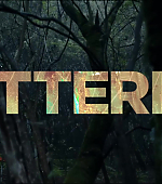 Butterfly_531.jpg