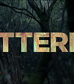 Butterfly_532.jpg