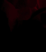 Filename=Villmark_2_3623.jpg
Filesize=29KiB
Dimensions=1920x800
Date added=Dec 25, 2025 Villmark_2_3623.jpg