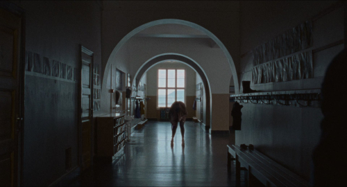 Armand_4761.jpg