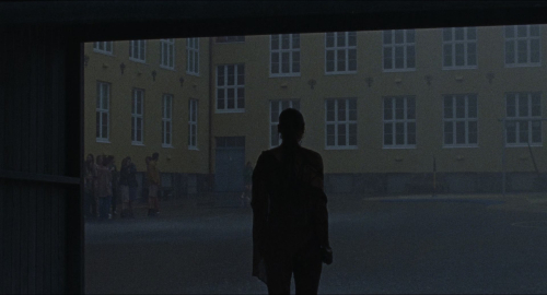 Armand_7225.jpg