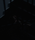 Filename=Armand_6758.jpg
Filesize=96KiB
Dimensions=1920x1040
Date added=Jan 01, 2026 Armand_6758.jpg